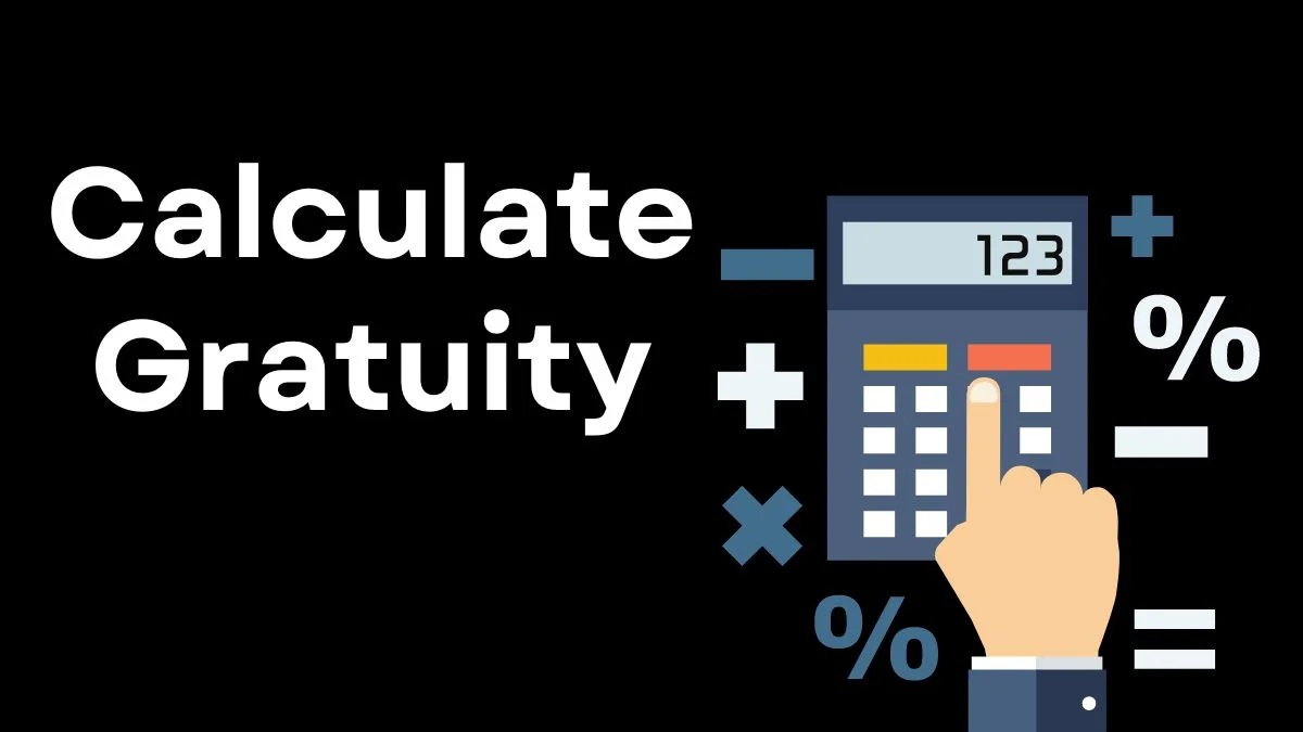 Gratuity Calculator: Key Factors to Consider for Employee Payouts ...
